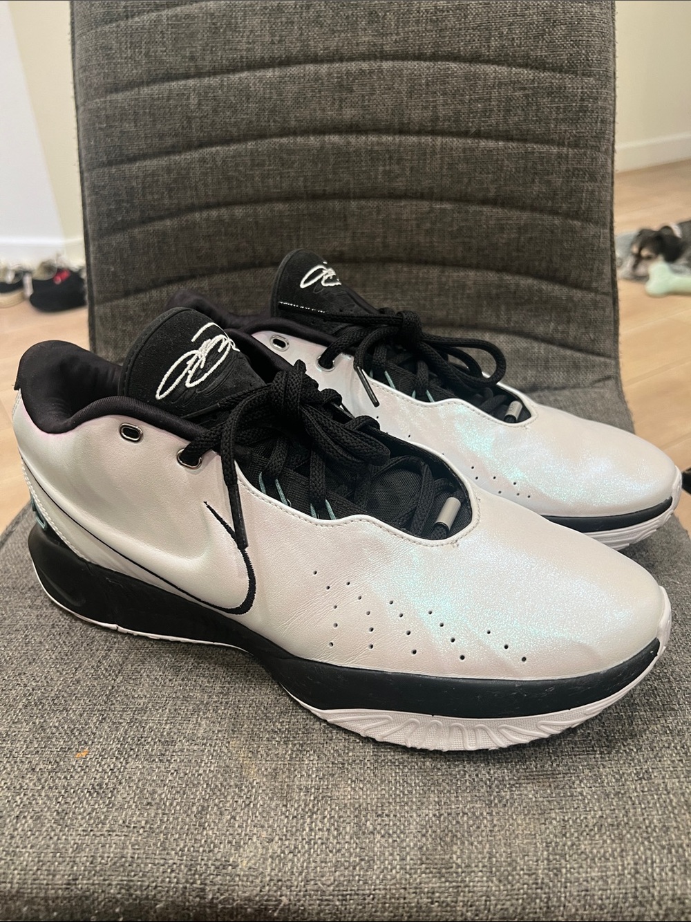 Nike Men's Lebron 21 Basketball Shoes